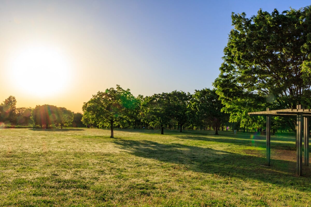 びん沼自然公園の写真1