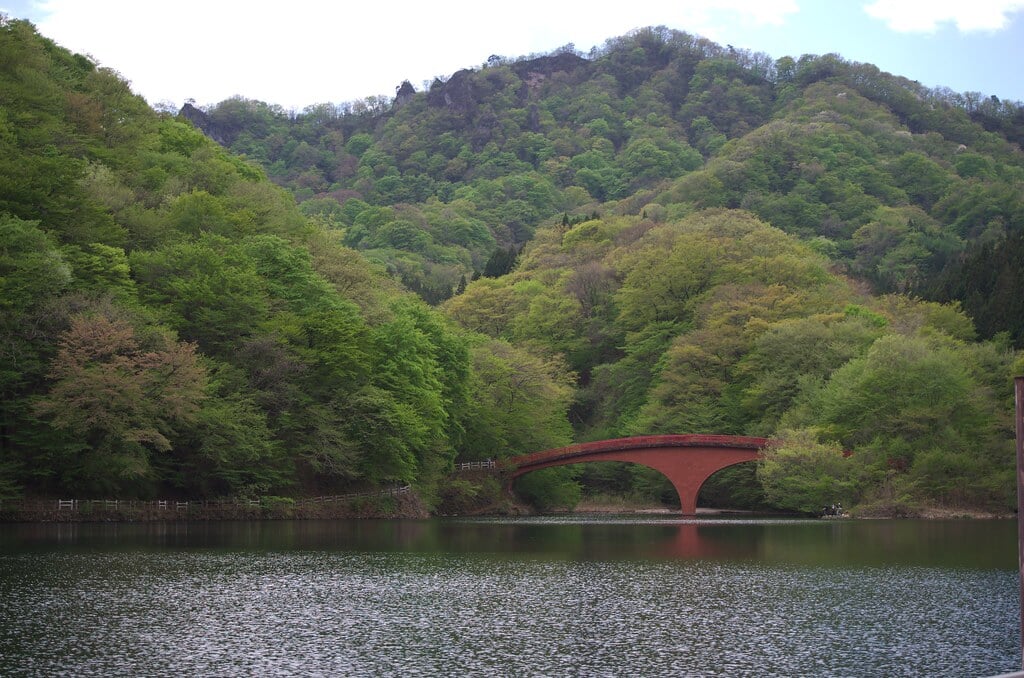 碓氷湖の写真10