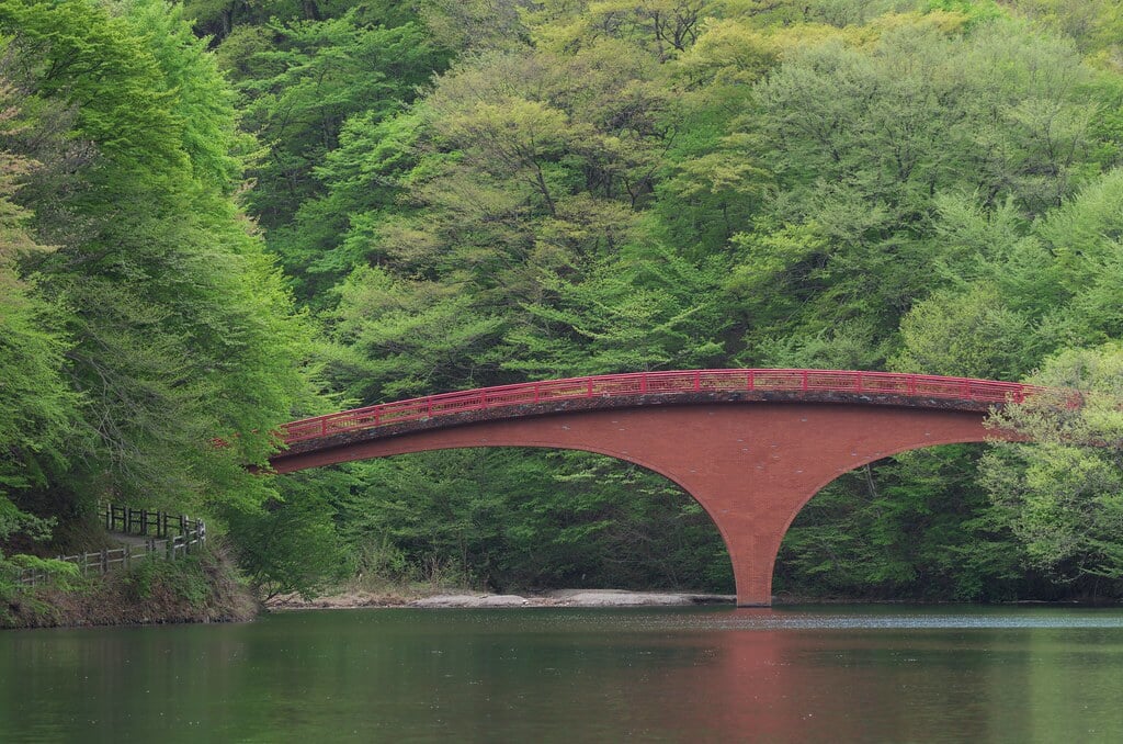 碓氷湖の写真11