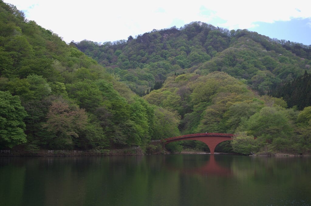 碓氷湖の写真12