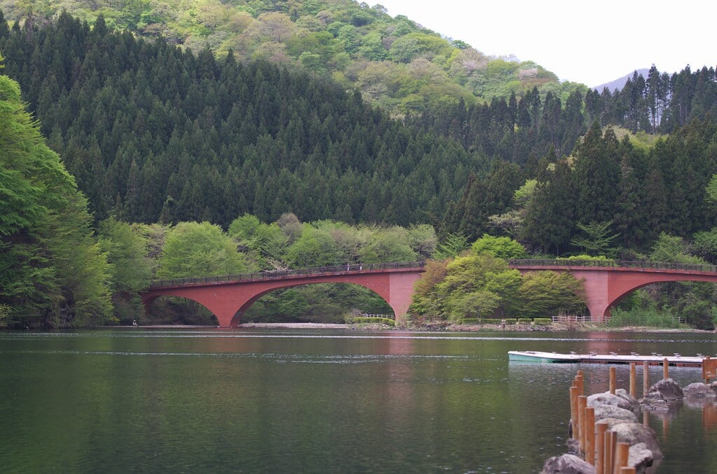 碓氷湖の写真13