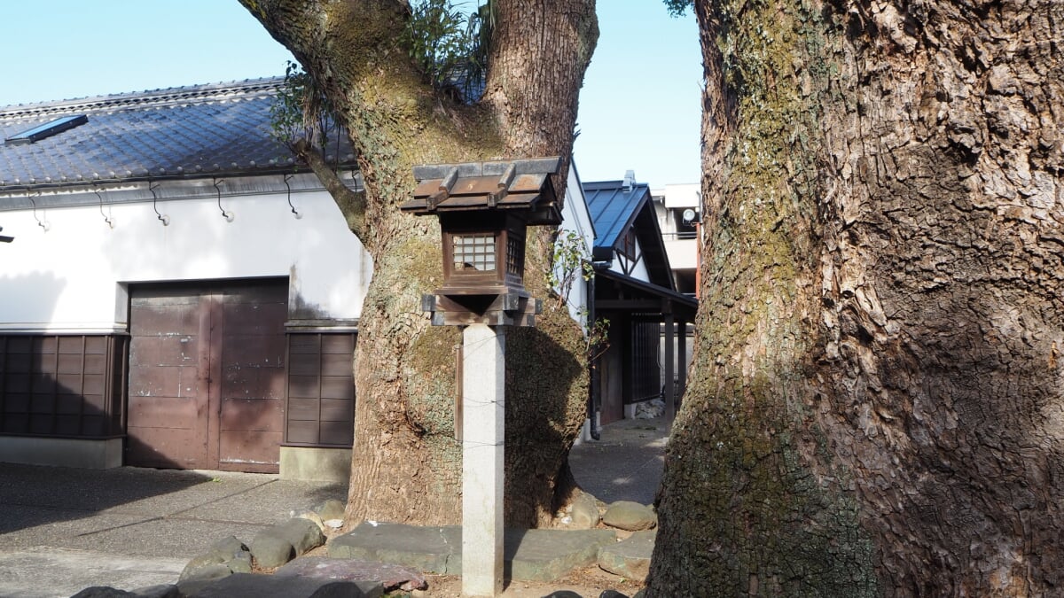 桐生市有鄰館の写真3