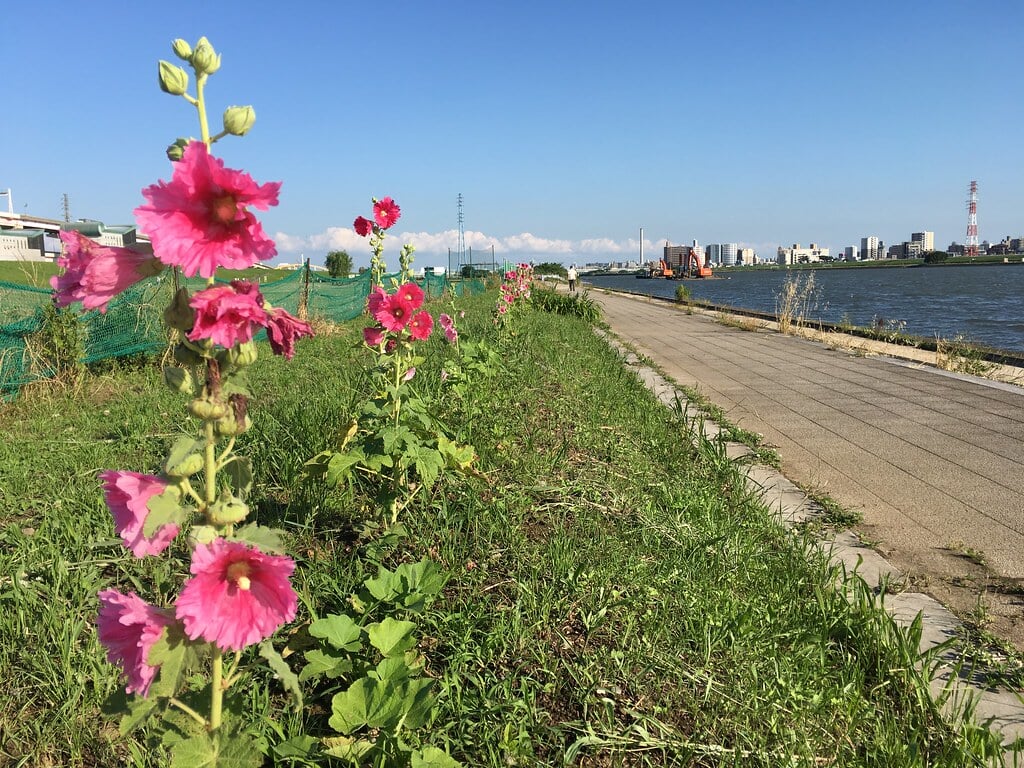 堀切水辺公園の写真2