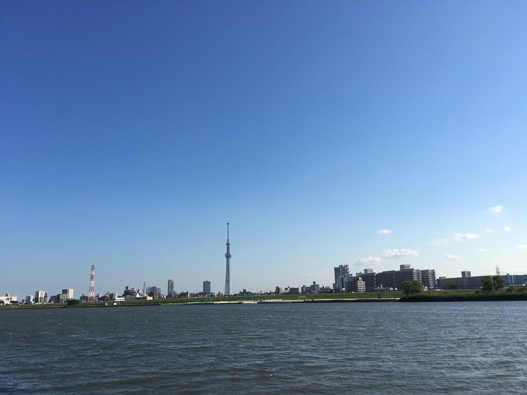 堀切水辺公園の写真5