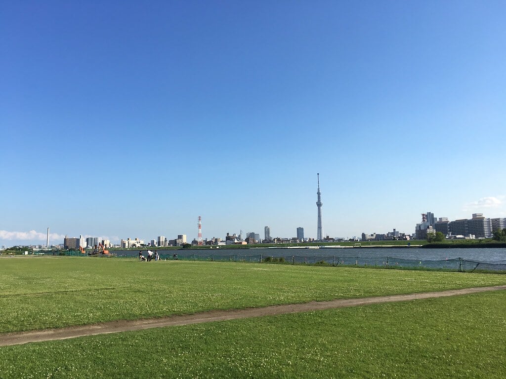 堀切水辺公園の写真1