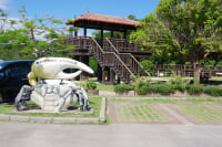 東村ふれあいヒルギ公園