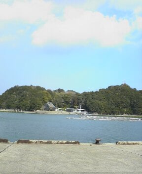 渡鹿野島の写真1