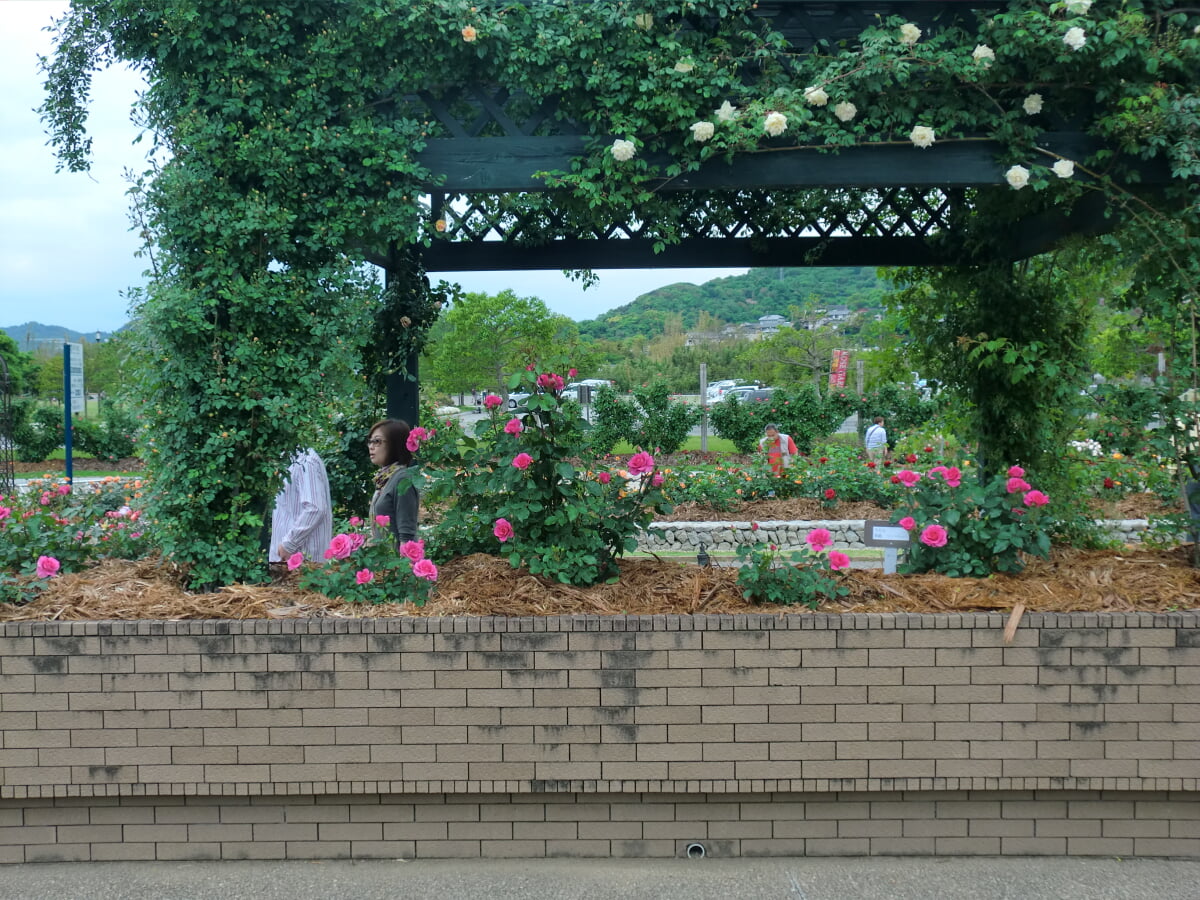 エコパーク水俣の写真4