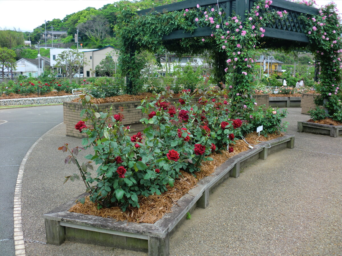 エコパーク水俣の写真1