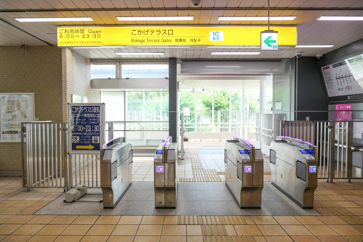 こかげテラスの写真1