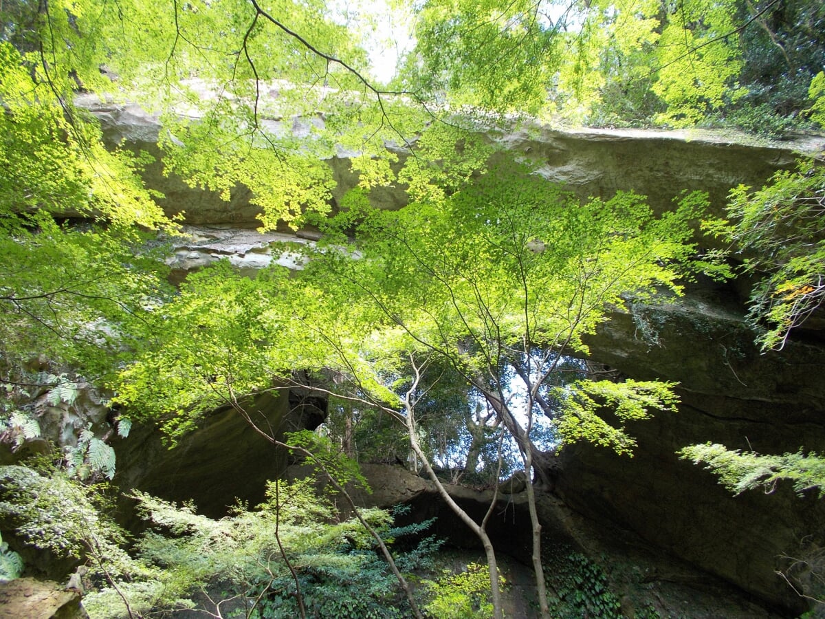 御橋観音の写真3