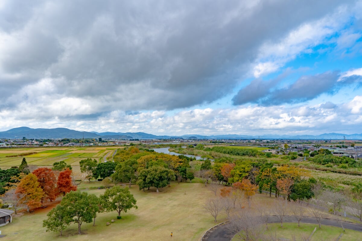 出水市ツル博物館 クレインパークいずみの写真4