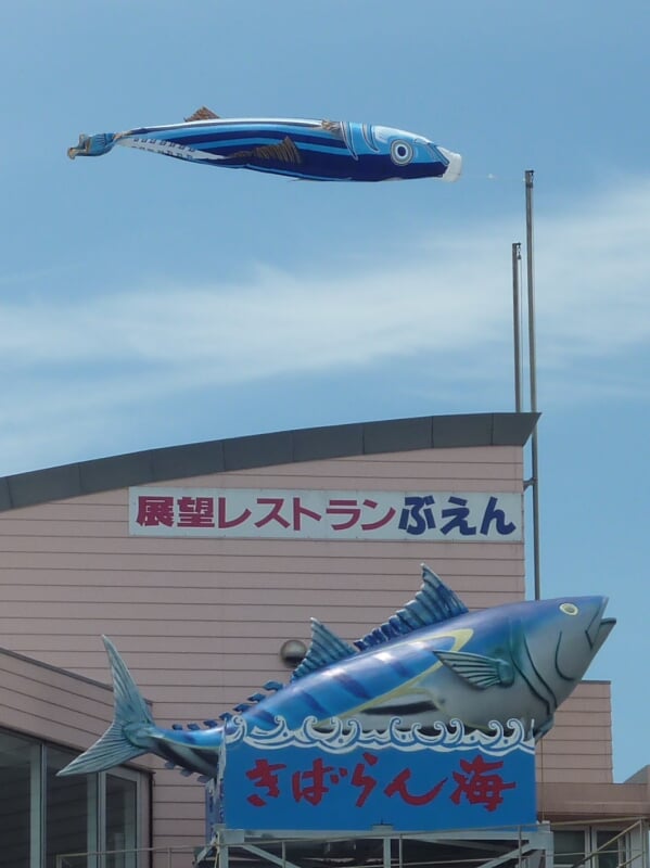 枕崎お魚センターの写真2