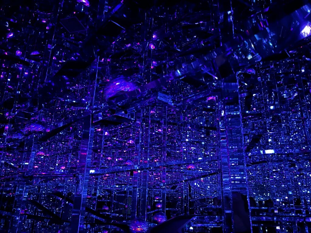 森ビル デジタルアート ミュージアム:エプソン チームラボボーダレスの写真2