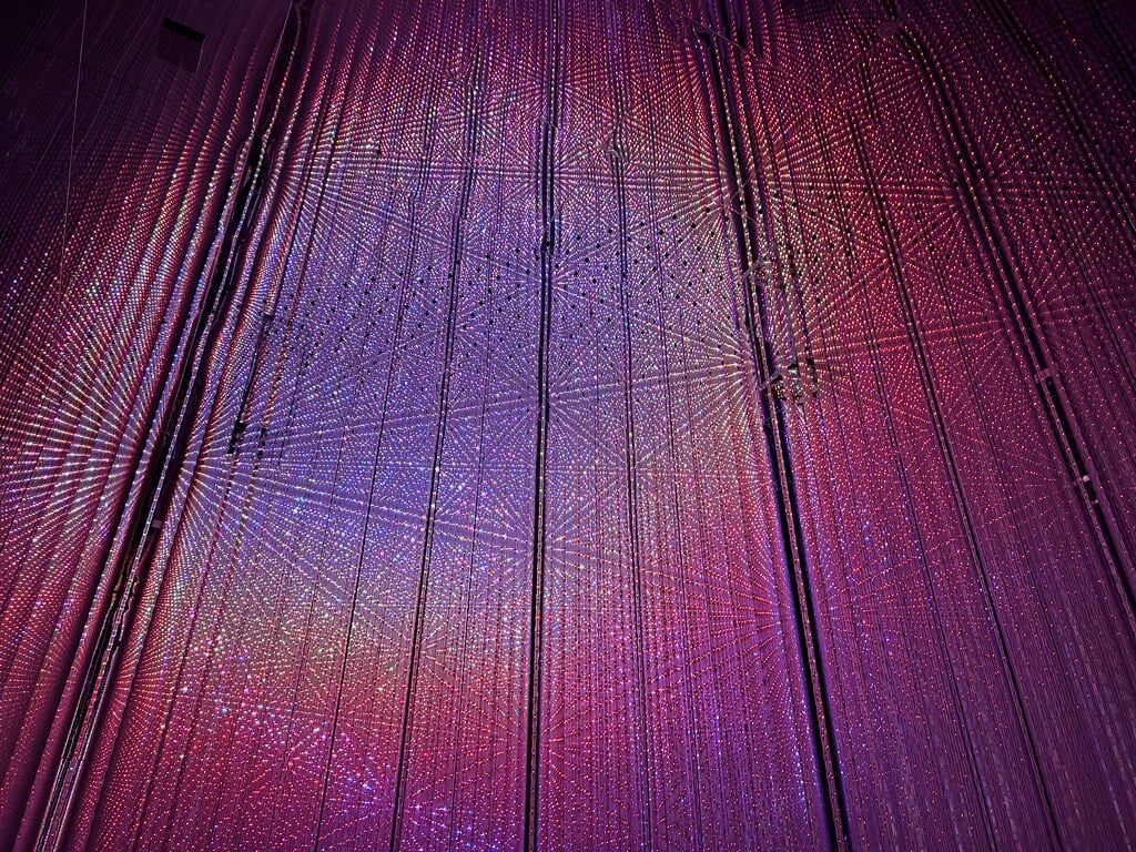 森ビル デジタルアート ミュージアム:エプソン チームラボボーダレスの写真3