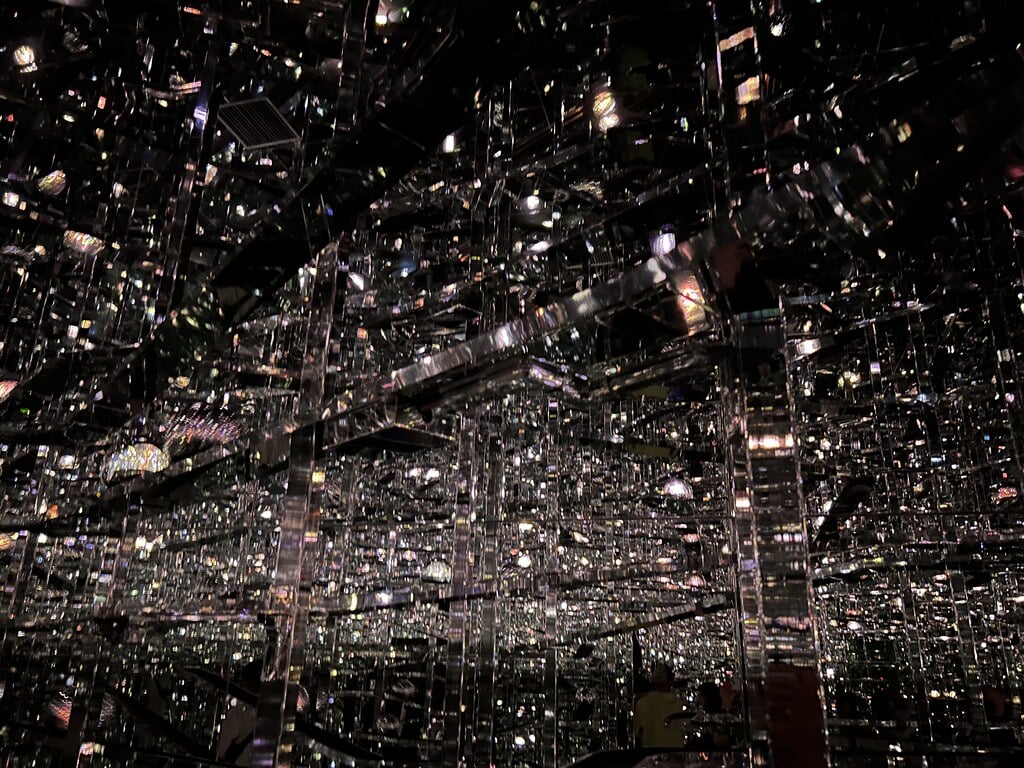 森ビル デジタルアート ミュージアム:エプソン チームラボボーダレスの写真1