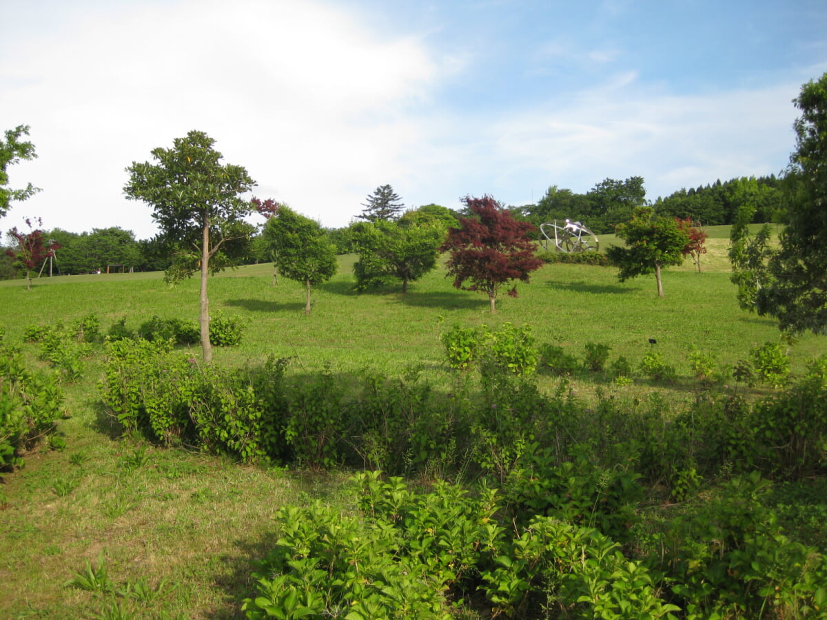 大乗寺丘陵公園の写真2