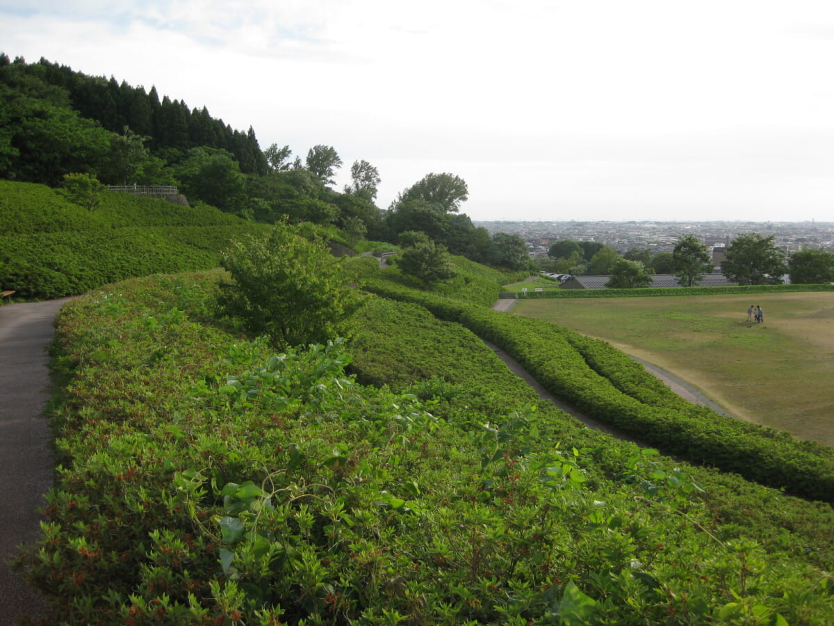 大乗寺丘陵公園の写真4
