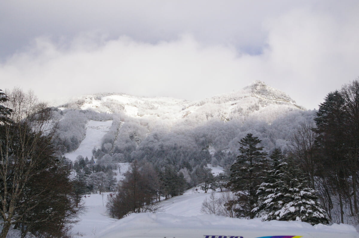 山田牧場の写真2
