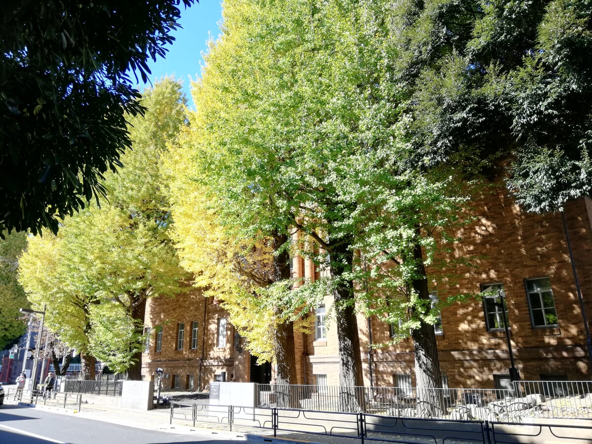 黒田記念館の写真2