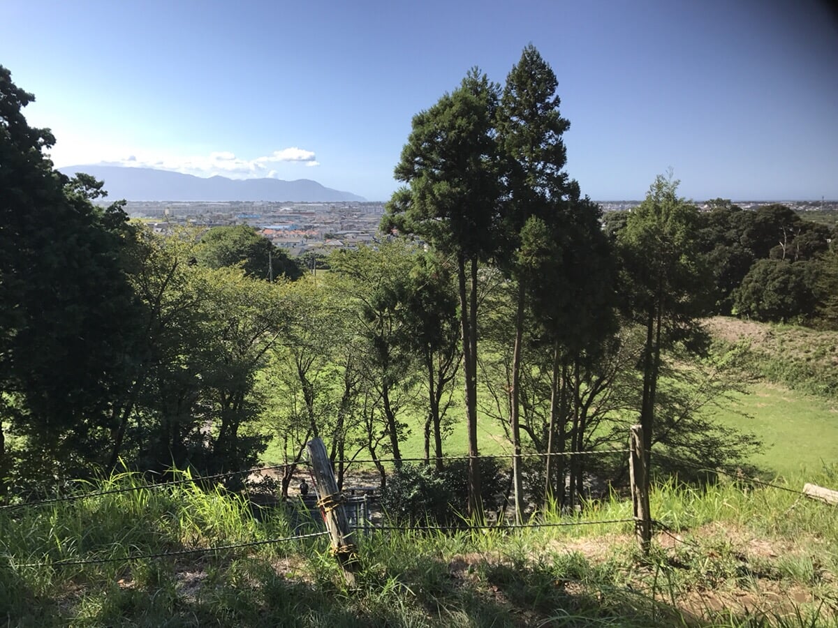 興国寺城跡の写真3