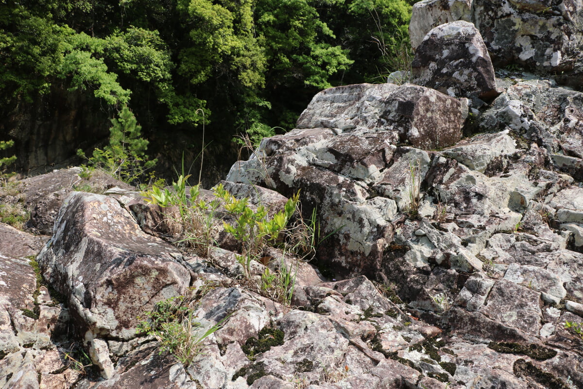 馬背岩の写真3