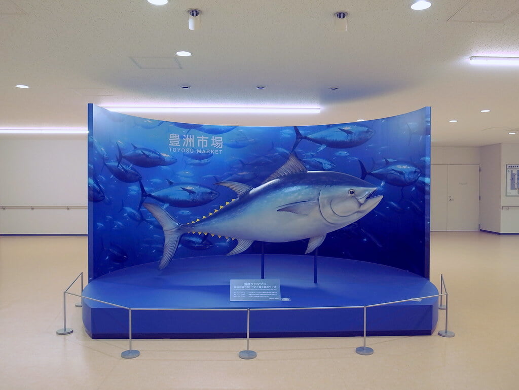 豊洲市場の写真2