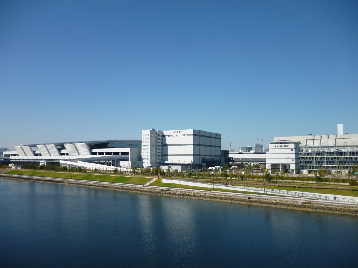 豊洲市場の写真3