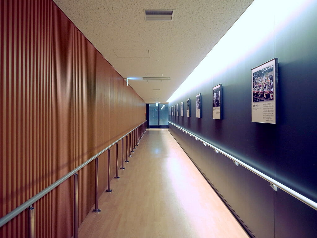 豊洲市場の写真8