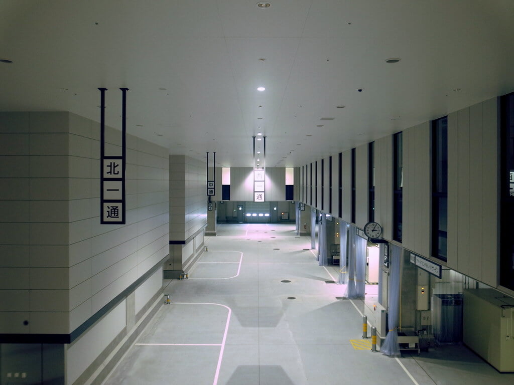 豊洲市場の写真9