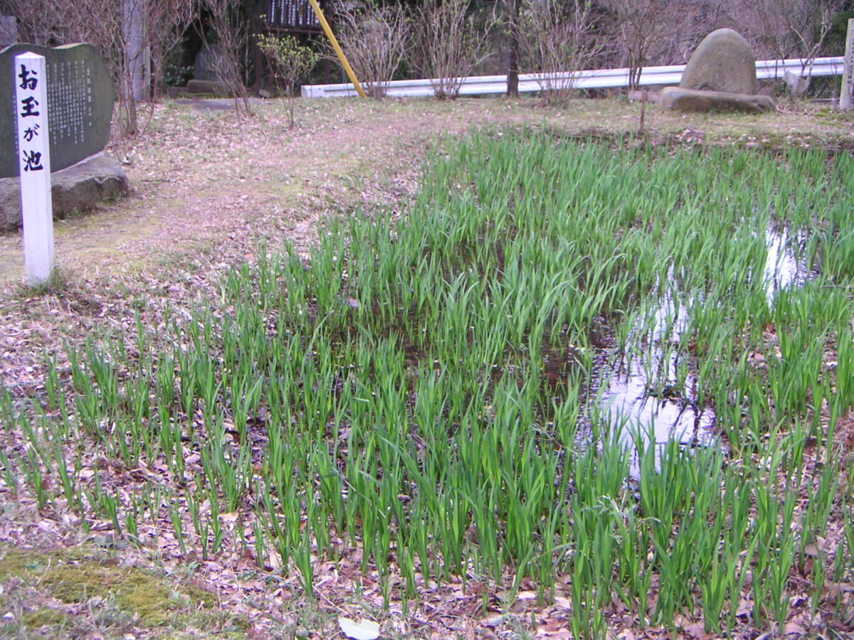 久留里城の写真2