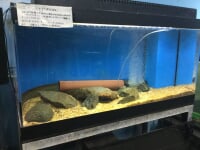 やながわ有明海水族館