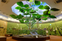 御座候 本社工場 あずきミュージアム