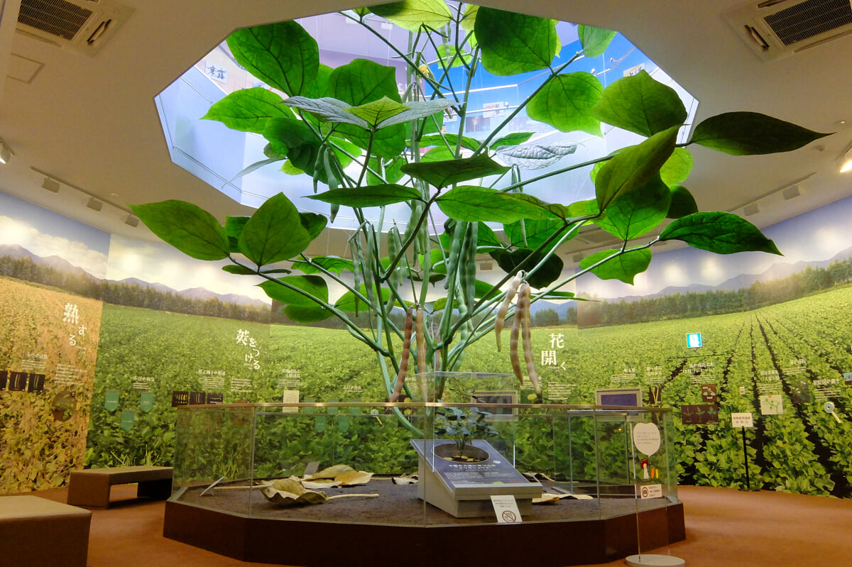 御座候 本社工場 あずきミュージアムの写真1