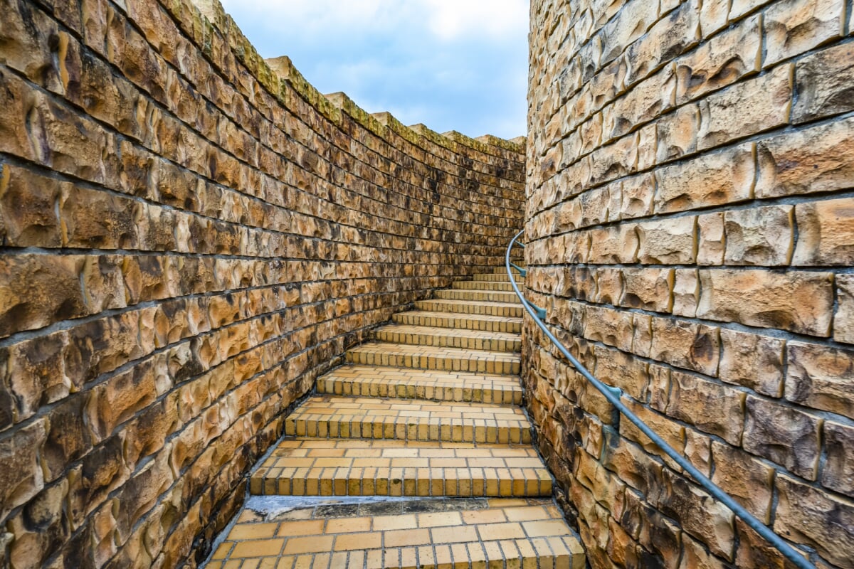 熱帯ドリームセンターの写真3