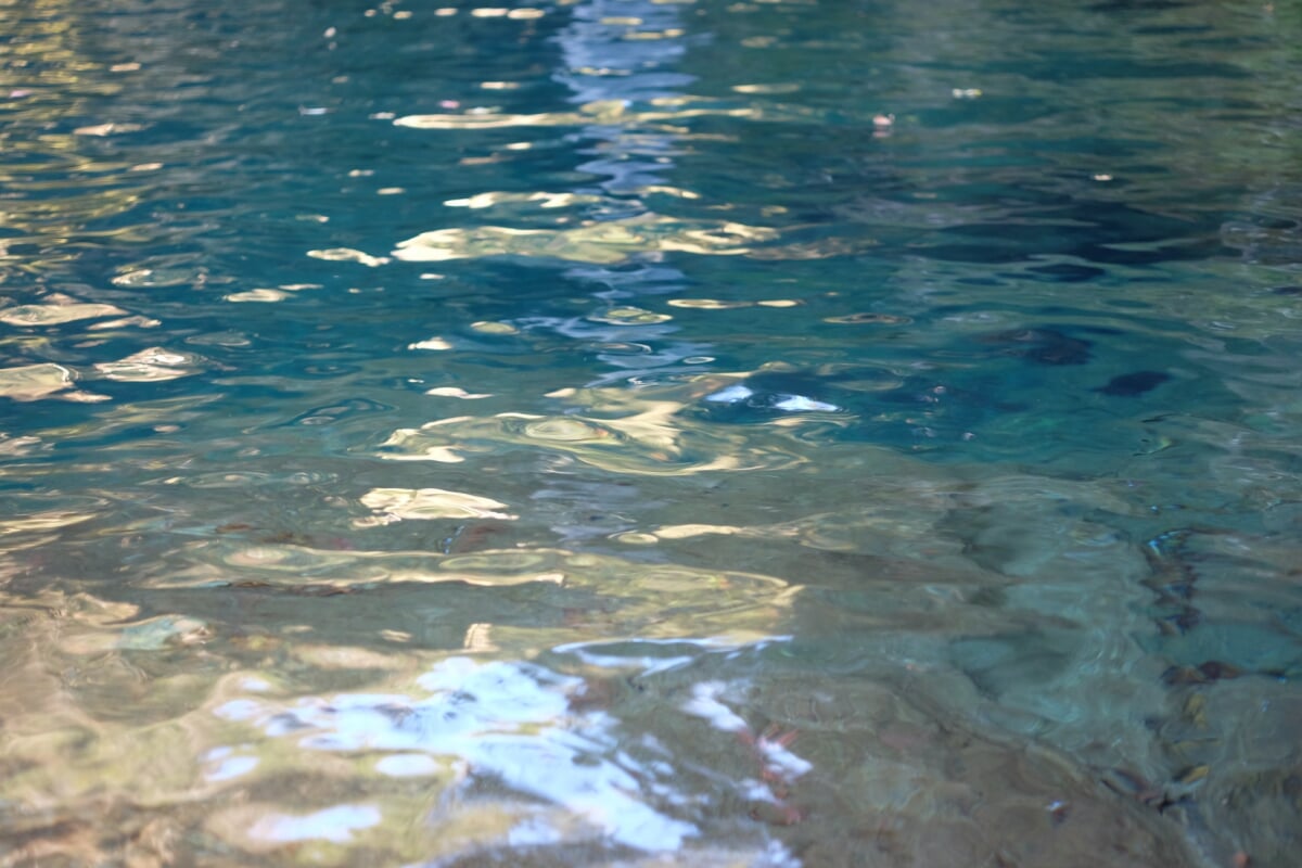 程野の滝の写真3