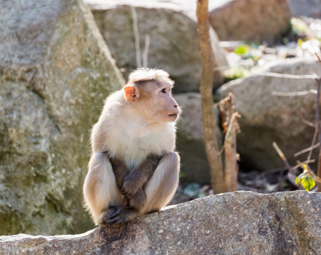 ときわ動物園の写真2