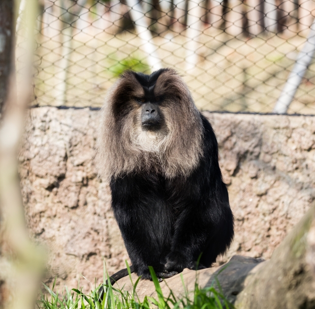 ときわ動物園の写真4