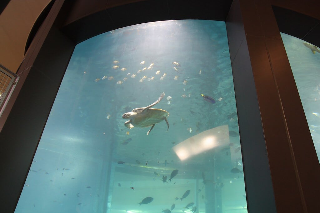 博多ポートタワーの写真7