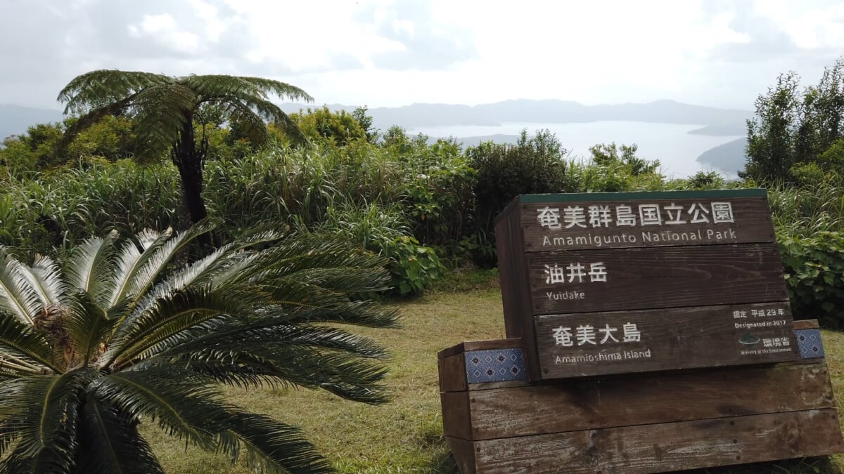 油井岳展望所の写真4