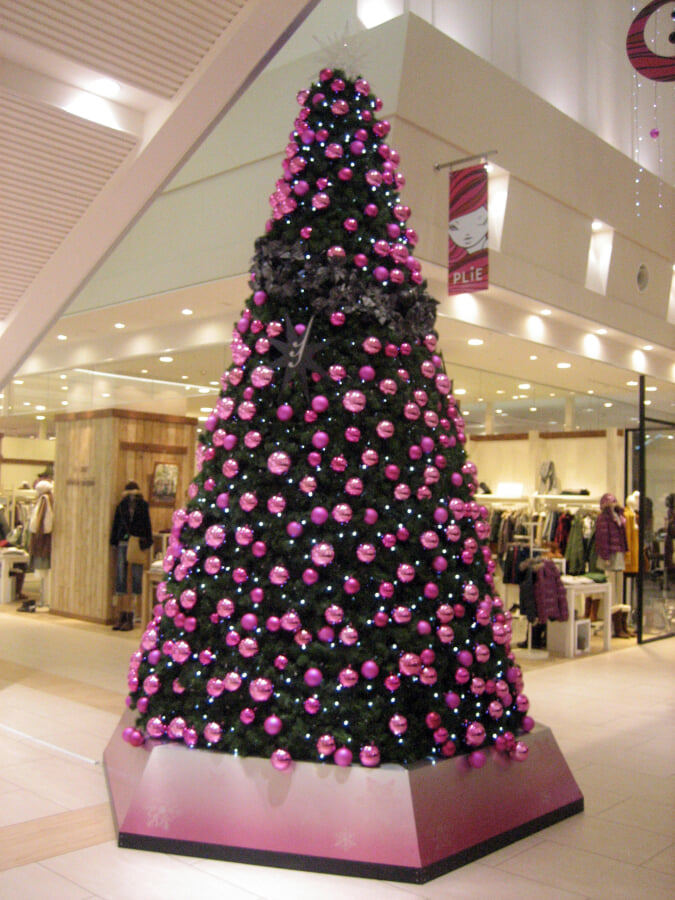 ピオレ姫路の写真5