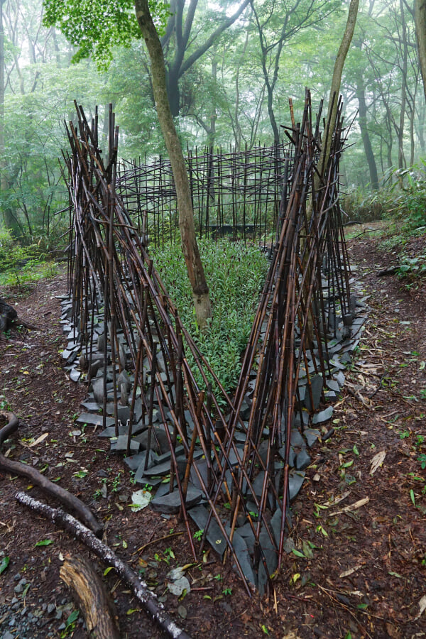 ニコライ バーグマン 箱根 ガーデンズ(NICOLAI BERGMANN HAKONE GARDENS)の写真5