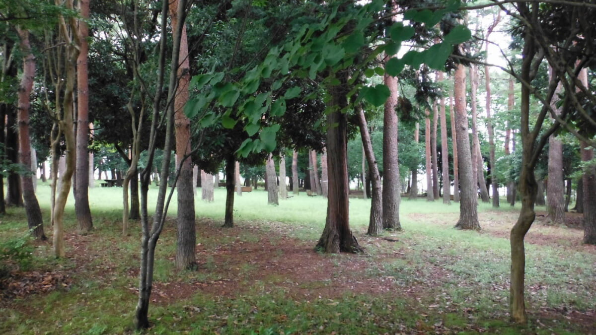 かつらぎ公園の写真3