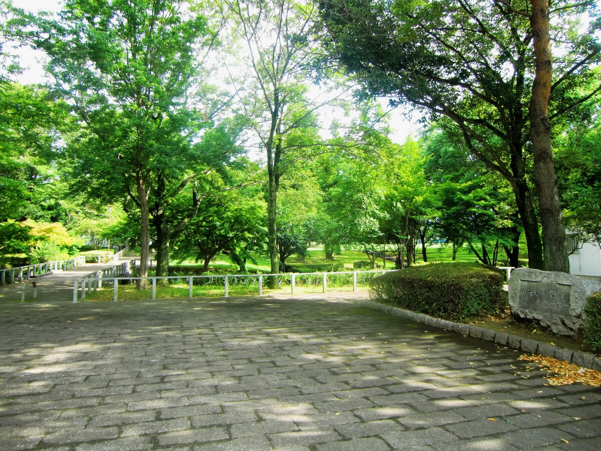 かつらぎ公園の写真1