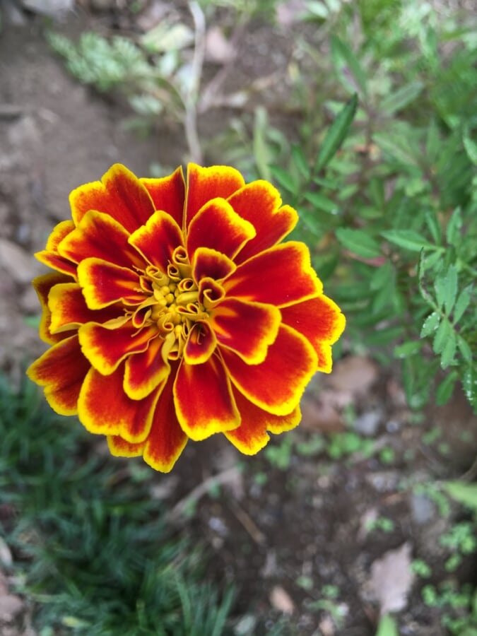 平和の森公園の写真3