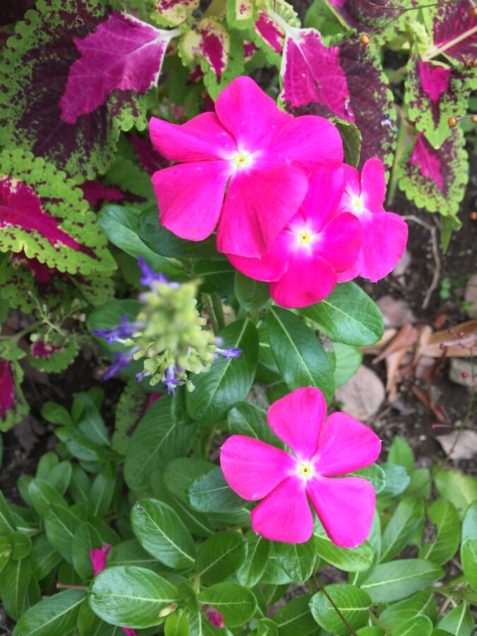 平和の森公園の写真4