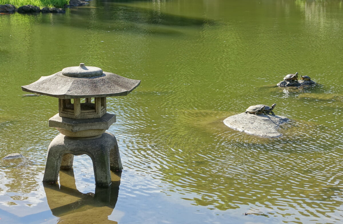 旧安田庭園の写真11