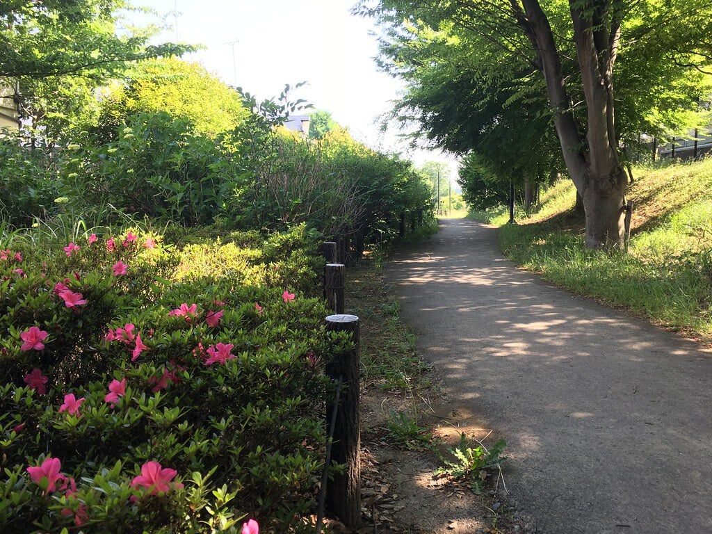 もみじやま公園の写真2