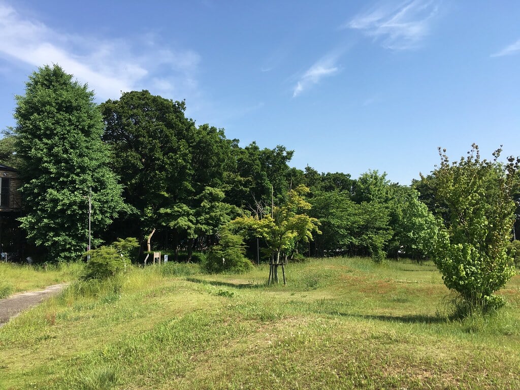 もみじやま公園の写真5