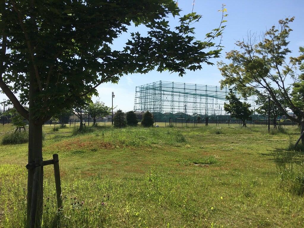 もみじやま公園の写真7